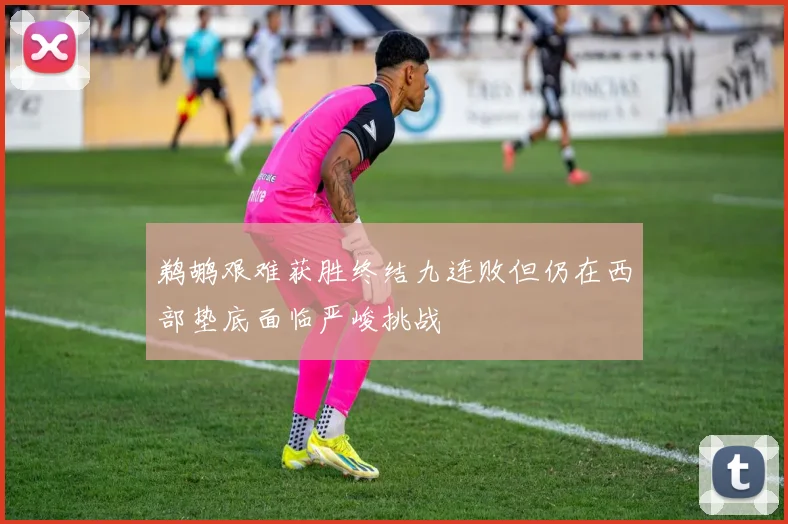 鹈鹕艰难获胜终结九连败但仍在西部垫底面临严峻挑战